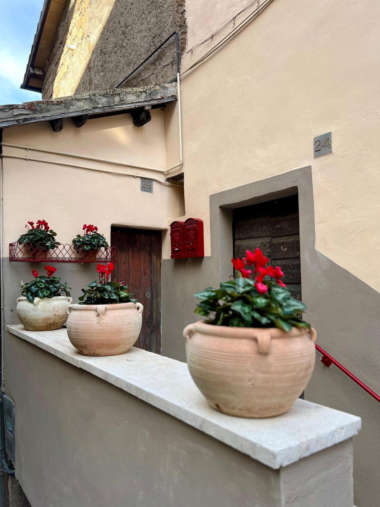 Elena'S Suite Sutri Buitenkant foto